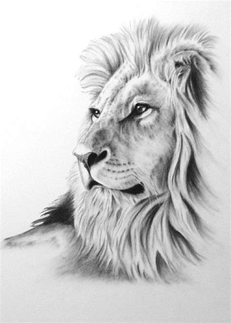 Charcoal Drawing, 8"x10" ORIGINAL Lion Art, Lion Drawing, Lion Sketch ...