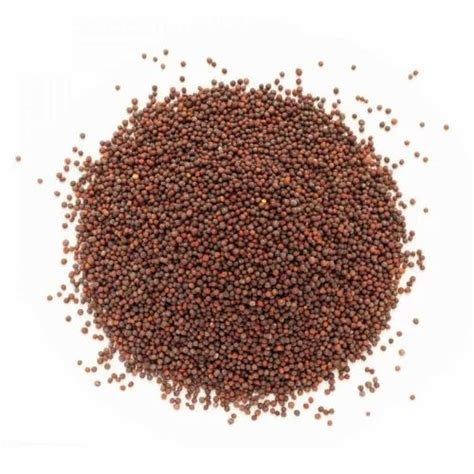 Brown Mustard Seeds at Rs 55/kg | Brown Mustard Seeds in Prayagraj | ID ...