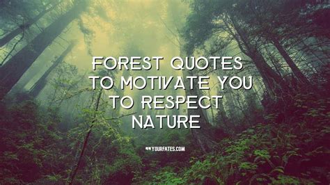 2021 Best Forest Quotes and Forests Day Sayings | YourFates Forest ...