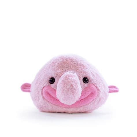 Blobby the Blobfish (Blob Fish) - Smile Edition| Planet Microbe