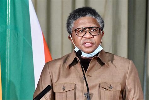 Fikile Mbalula 11 – BusinessTech