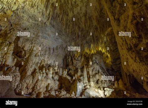 Ruakuri cave in New Zealand Stock Photo - Alamy