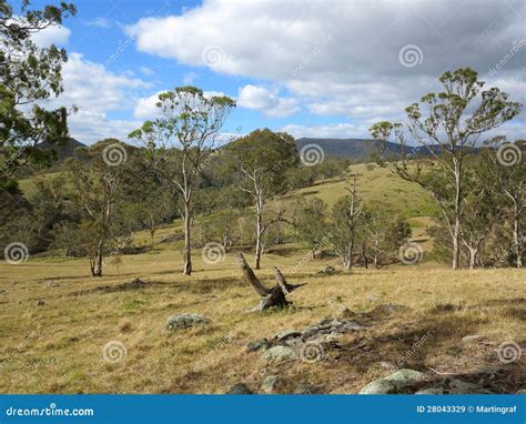 Australian Countryside Landscape Stock Image - Image of grass, fields ...