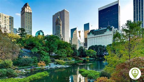 The importance of incorporating green spaces in city planning - EcoMatcher