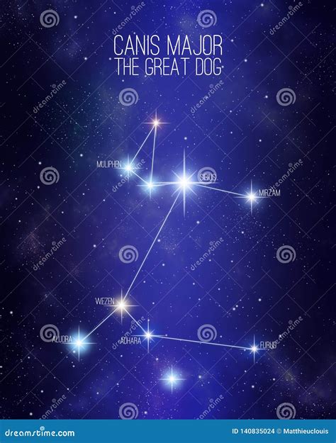 Canis Major the Great Dog Constellation on a Starry Space Background Stock Illustration ...