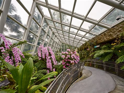 National Orchid Garden Enhancement, Singapore - CPG Consultants