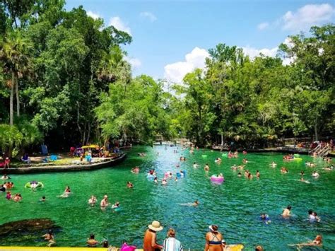 Swim Picnic at Wekiwa’s Natural Springs! - Original Orlando Tours