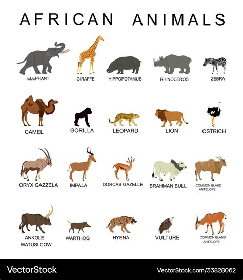 Group african animals collection Royalty Free Vector Image