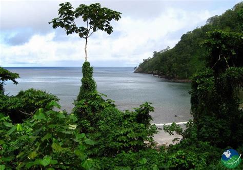 Cano Island Biological Reserve