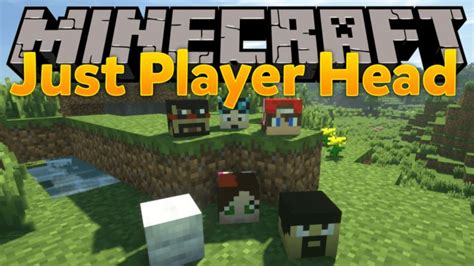 Just Player Heads Mod Para Minecraft 1.13.2/1.12.2/1.11.2 - ZonaCraft