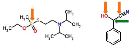 Urushiol, the Poison in Poison Ivy | American Council on Science and Health