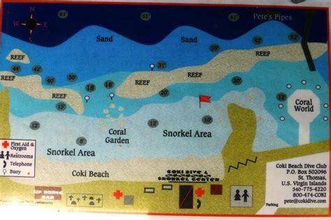 COKI DIVE CENTER (East End) - All You Need to Know BEFORE You Go