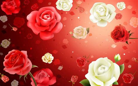 Red And White Rose Wallpapers - Wallpaper Cave