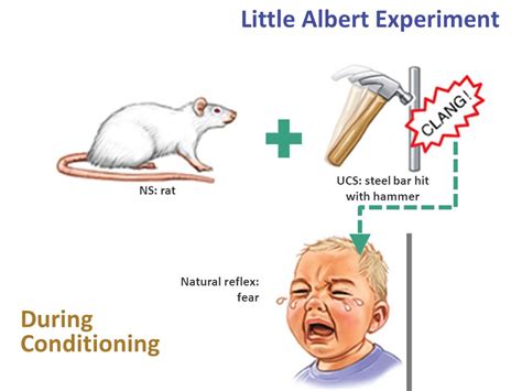 EXAMS AND ME : The Little Albert Experiment