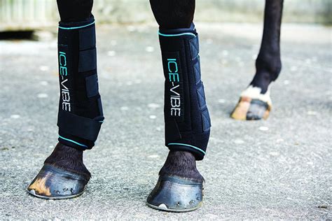 Best Ice Boots For Horses - Best Horse Gears