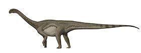 Riojasaurus - Wikipedia