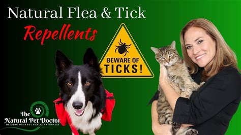 Natural Flea And Tick Remedies For Dogs and Cats - YouTube