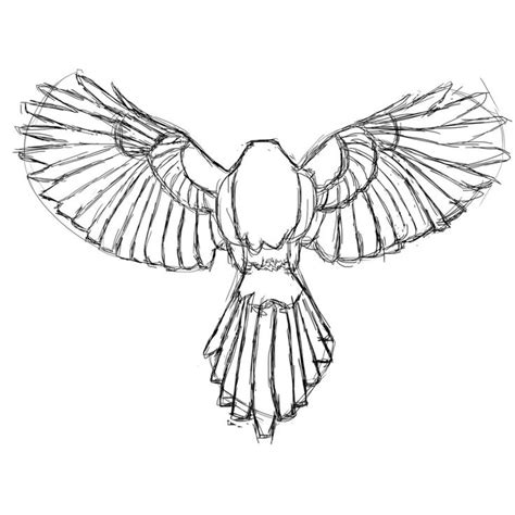 Dove Wings Drawing at GetDrawings | Free download