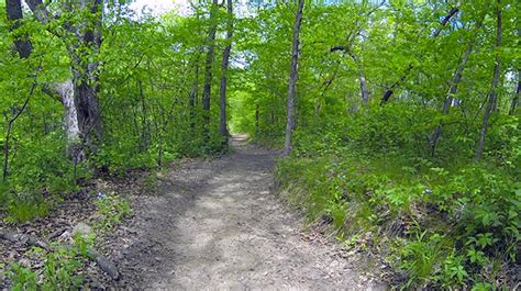 Brushy Creek State Recreation Area | Iowa Parklands