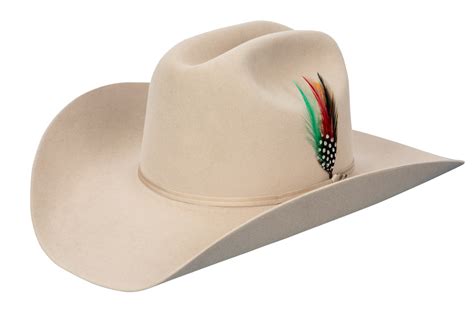 Stetson 6X Roper Felt Silver Belly Cowboy Hat | Pinto Ranch