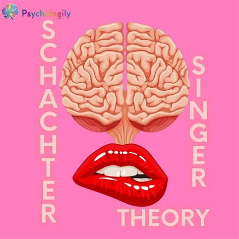 The Schachter-Singer Theory: Understanding How Emotions and Physical Responses Are Connected ...