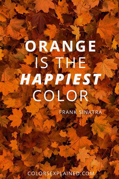 Meaning of the Color Orange: Symbolism, Common Uses, & More