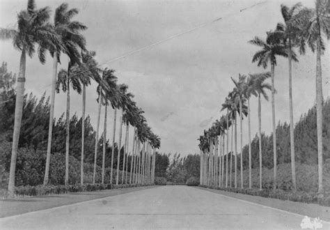 Hialeah history: What city looked like in 1950s, 1960s | Miami Herald