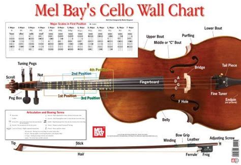 20 best Cello // Fingerboard Geography images on Pinterest | Cello ...