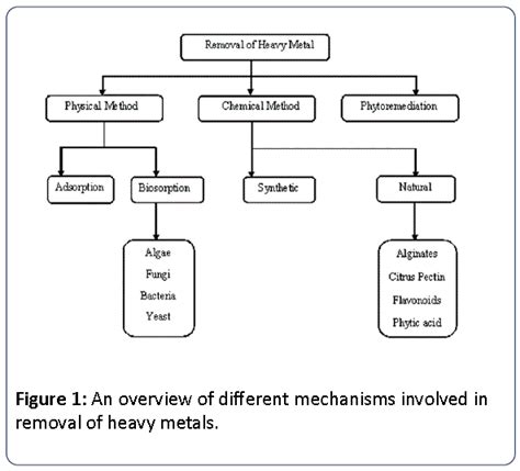 Physical, Chemical and Phytoremediation Technique for Removal of Heavy Metals