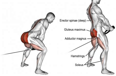 Glute Bridge: 5 Effective Variations For A Better Butt – Fitness Volt