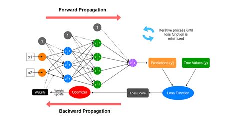 Overview of a Neural Network’s Learning Process | by Rukshan Pramoditha | Data Science 365 | Medium