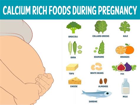 12 Best Calcium Rich Foods During Pregnancy