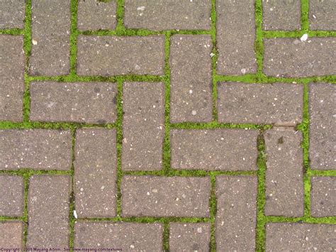 herringbone brick pattern with moss | Brick pathway, Paving texture ...