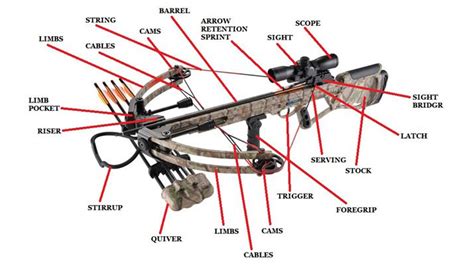 Best crossbow for deer - worthsay