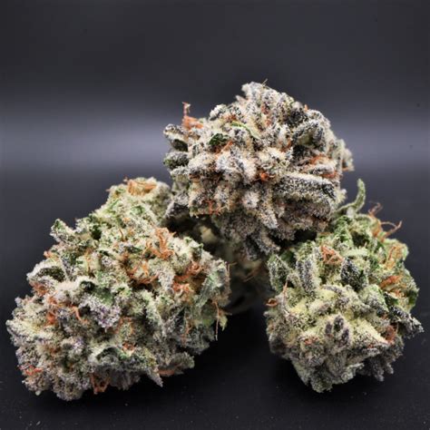 What are Cannabis Trichomes? An Overview + Growing Tips | SunMed Growers