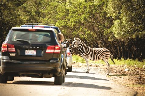 Natural Bridge Wildlife Ranch Getaway | Group Tours