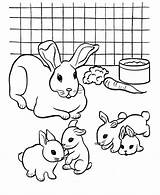 Free Printable Rabbit Coloring Pages For Kids sketch template