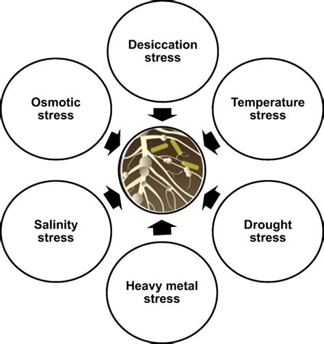 Main environmental stress conditions/factors affecting the survival of ...