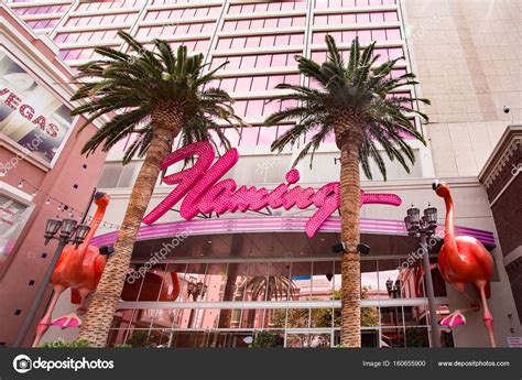 [最新] pink flamingo las vegas 761696-Pink flamingo las vegas pool