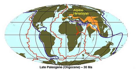 Paleogene Period | Natural History Museum