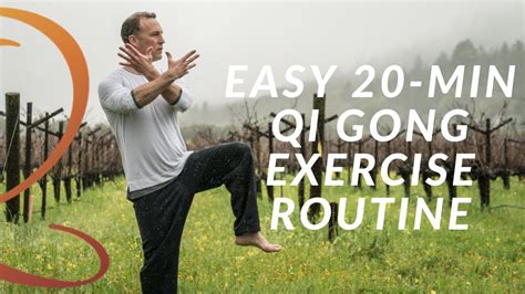 20-Min Qi Gong Exercise Routine - Easy Home Workout with Lee Holden ...