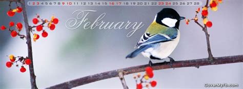 February Calendar Facebook Covers, February Calendar FB Covers, February Calendar Faceboo ...