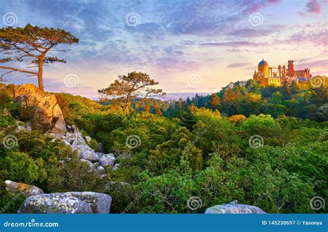 Sintra, Portugal. National Park with Palace Stock Image - Image of dawn, pine: 145230697