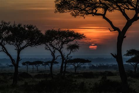 Africa Sunset Image | Sunset images, Africa sunset, Africa sunrise