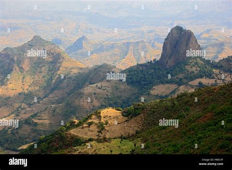 Abyssinia High Resolution Stock Photography and Images - Alamy