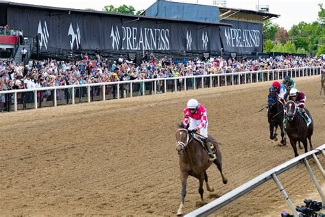 2023 Preakness Stakes Trends: Stats To Find The Pimlico Winner