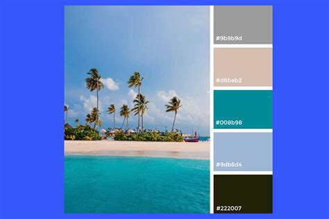 Cool Color Scheme Photography