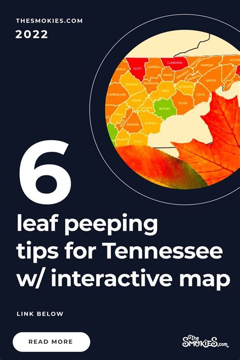 Interactive Tennessee fall foliage map, 6 leaf peeping tips [2022 ...