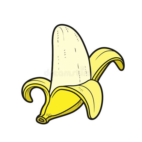 Banana Stalk Stock Illustrations – 154 Banana Stalk Stock Illustrations, Vectors & Clipart ...