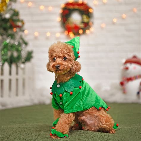 Super Cute Pet Christmas Clothes Wizard Christmas Tree Funny Style For Dog Puppy Cosplay Costume ...